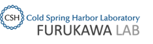 Furukawa Lab