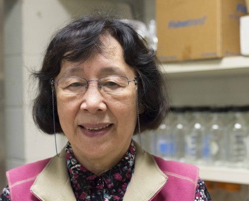 Hong Jie Shen